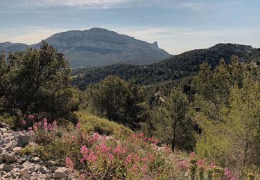 Trail Walking Marseille - Marseilleveyre-sommet-1105-22 - Photo