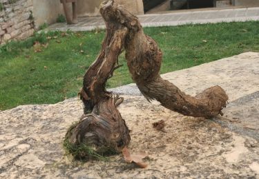 Randonnée Marche Givry - givry. cellier aux moines  - Photo