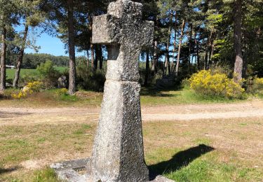 Tocht Stappen Peyre en Aubrac - Aumont à Finieyrols - Photo