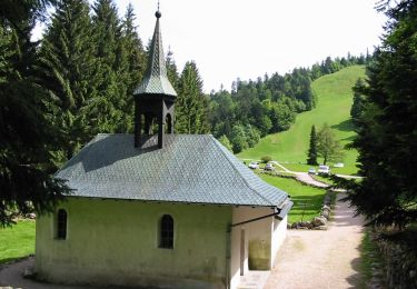 Tocht Te voet Ventron - Circuit de la Croix de l’Hermite par Forgoutte - Photo