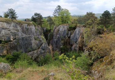 Trail Walking Viroinval - Nismes le fondry des chiens  - Photo