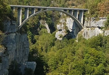 Tour Wandern Confort - Confort pont des pierres - Photo
