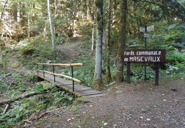 Tour Wandern Masevaux-Niederbruck - Masevaux - Rossberg par le belvédère du Fuchsfelsen - Photo