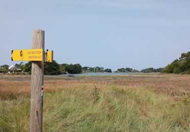 Tour Wandern Sarzeau - 56-pointes_bernon_ours_10km - Photo