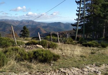 Excursión Senderismo Montselgues - montselgue Thines  - Photo