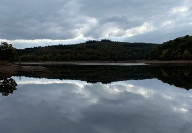 Percorso Marcia Jalhay - Lac de la Gileppe  - Photo