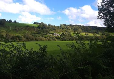 Tocht Te voet  - Ty'n y Coed Uchaf and Cwm Eidda walk - Photo