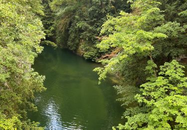 Trail Walking Orbe - Gorge de l’Orbe - Photo