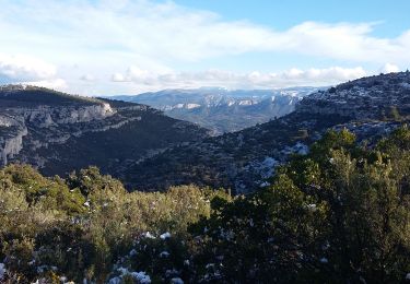 Randonnée A pied Roquevaire - Mont du Marseillais et le Puits de l'Aroumi  - Photo