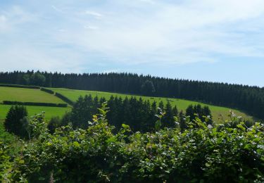 Tour Zu Fuß Büllingen - GrWandArd6: Rocherath:het hoogste dorp van Belgie (PVDB) - Photo