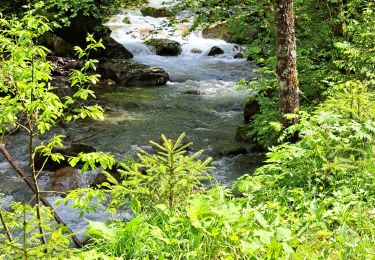 Percorso Marcia Morzine - Le sentier du Renard en passant par la cascade de Nyon - Photo
