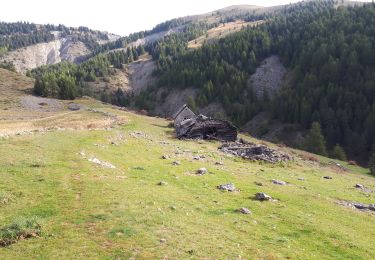 Trail Walking Roubion - Col Couillole Ars Buissieres - Photo