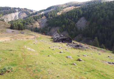 Tour Wandern Roubion - Col Couillole Ars Buissieres - Photo