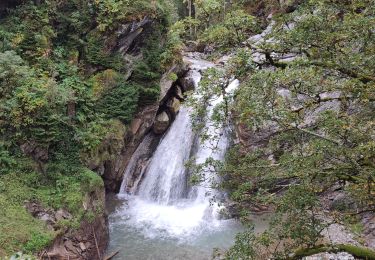 Tocht Trail Gemeinde Kirchberg in Tirol - Aschau - Photo