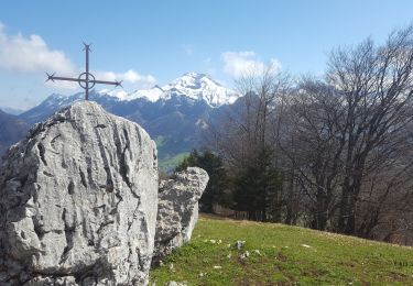 Trail Walking Le Châtelard - Croix du Plane - Photo