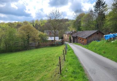 Trail Walking Havelange - Barvaux en Condroz 220425 - Photo