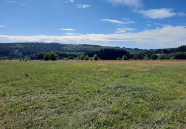 Tour Mountainbike Gedinne - Gedinne - Rienne - Bourseigne - Vencimont - Photo