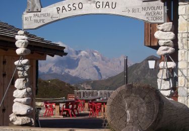 Percorso A piedi Livinallongo del Col di Lana - Strada da la Vena - Photo