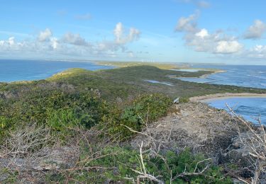 Tour Pfad Saint-François - Anse la gourde  - Photo