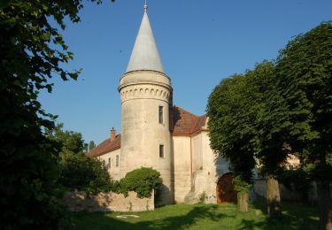 Excursión A pie Gemeinde Bad Fischau-Brunn - Rundumadum Bad Fischau - Photo