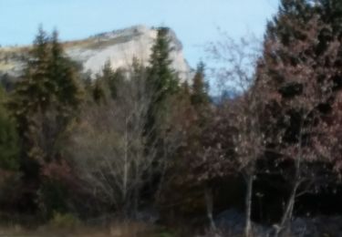 Randonnée Marche Lans-en-Vercors - belvedere des cimes rando - Photo