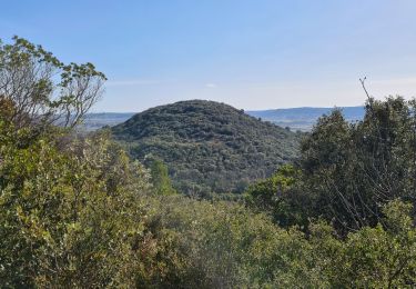 Trail Walking Saint-Côme-et-Maruéjols - Maruejols et oppidum  - Photo