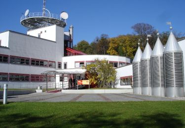 Tocht Te voet  - Eisenstadt (ORF) - Jägerwiese - Loretto - Photo