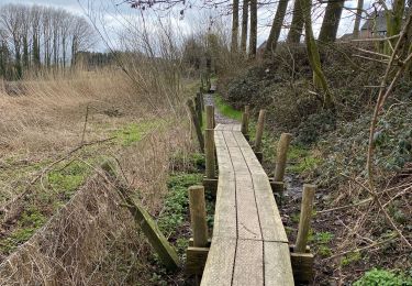 Randonnée Marche Bracle - Parcours éphémère de Everbeek 12km - Photo