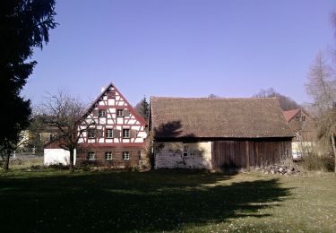 Excursión A pie Neualbenreuth - Alter Herrgott Weg - Photo