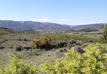Excursión Bici de montaña Durban-Corbières - recaoufa - Photo