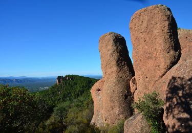 Excursión Senderismo Roquebrune-sur-Argens - La Bouverie - Bayonne - La Forteresse - Col Pierre du Coucou - Forêt de Raphèle - Photo