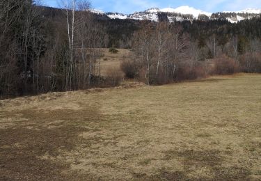 Trail Walking Arbaz - saxonne - Photo