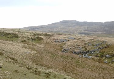 Trail On foot  - Taith Ardudwy Way - Photo