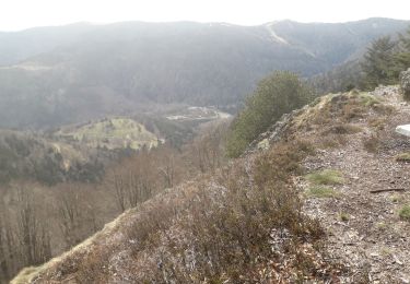 Randonnée Marche Sewen - la ronde tête, le Gresson depuis le lac d'Alfeld - Photo