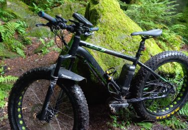 Trail Electric bike Saint-Clément - sortie vtt 30072023 baccarat - Photo