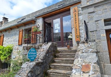 Trail Walking Peyre en Aubrac - COMPOSTELLE J6 - Photo
