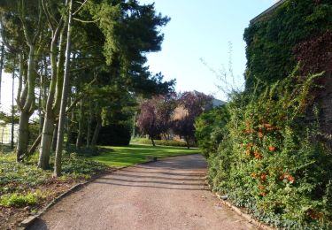 Trail On foot Sint-Truiden - Bernissem wandeling - Photo