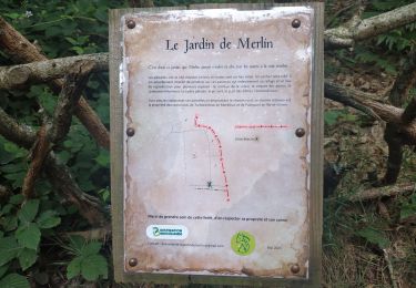 Trail Walking Tréhorenteuc - 2025-06-13 boucle du Val sans retour, circuit de l'arbre d'or - Photo