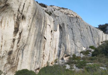 Percorso Marcia Maussane-les-Alpilles - le cirque du grimpeur solitaire  - Photo