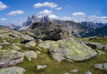 Tour Zu Fuß St. Ulrich in Gröden - IT-10 - Photo