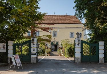 Randonnée A pied Pfarrkirchen bei Bad Hall - Möderndorfer Rundwanderweg - Photo