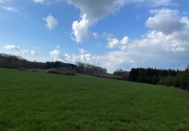 Trail Walking Arlon - heinsch - Photo