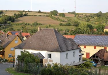 Excursión A pie Bad Mergentheim - Schönbühler Weg - Photo