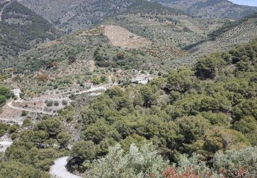 Tocht Stappen Canillas de Albaida - CIRCULAR_TAFRAOUTE - Photo