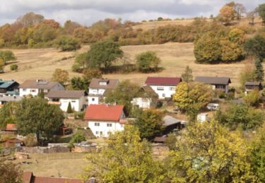 Tour Zu Fuß Schotten - Rundwanderweg Götzen G1 - Photo