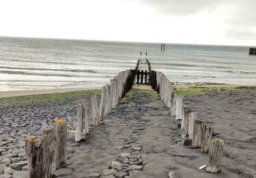 Excursión Senderismo Veere - Se promener dans Westkapelle et dans les dunes  - Photo