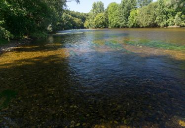 Percorso Canoa - kayak Saint-Léon-sur-Vézère - Descente de la Vézère - Photo