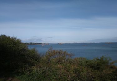 Trail Walking Plouezoc'h - 2024-04-29 pointe de Barnénez - Morlaix  - Photo