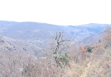 Tocht Stappen Vissec - sentier du Regagnas - Photo