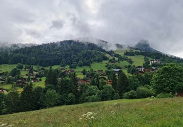 Randonnée Marche La Clusaz - Les Converses, Les Étages, Crêt du Merle, Les Tollets, Les Converses  - Photo